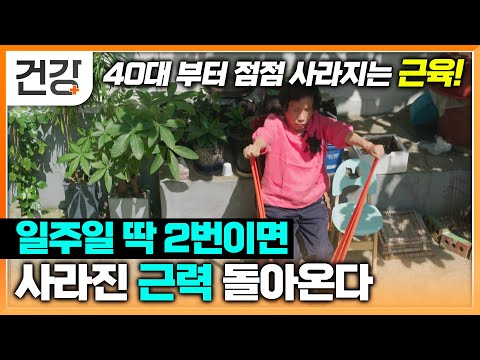 40대부터 점차 줄어드는 근육량 꾸준한 운동 습관으로 사라진 근력 돌릴 수 있다! | 노쇠 전 단계 | 명의 | #EBS건강