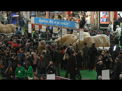 The 2025 Paris International Agricultural Show opens to the public | AFP