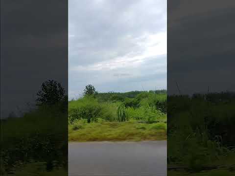 Travel shorts🏍️Sad Gana😎#tranding#music#DreamScreenAI#lifeisbutadream ✅😎💯❤