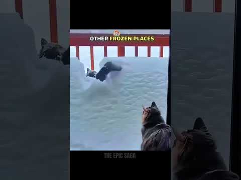 The Last Cold Place Was Beyond Insane 🥶#shorts #shortsfeed