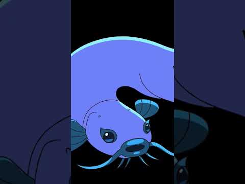 Cat Fish - Animation Morph