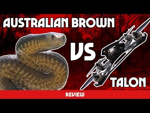 HUGE AUSTRALIAN DEADLY SNAKE VS RACING DRONE - Karearea talon PR review - UC3ioIOr3tH6Yz8qzr418R-g