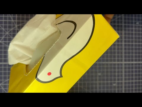 鳩サブレーとティッシュケース