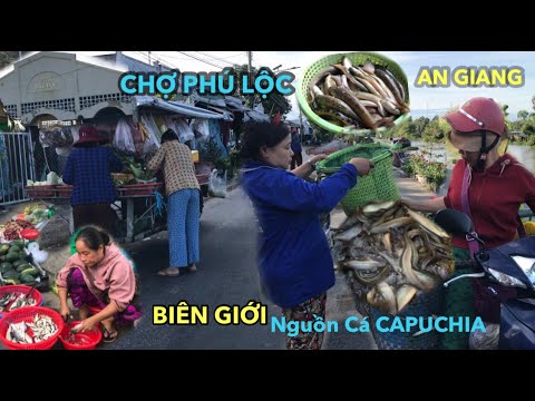 "KHÔNG THỂ NGỜ" TOÀN CẢNH CHỢ PHÚ LỘC AN GIANG, CÁ THU GOM Ở KÈ KÊNH VĨNH XƯƠNG; NHÀ LỒNG VẮNG LẠNH.