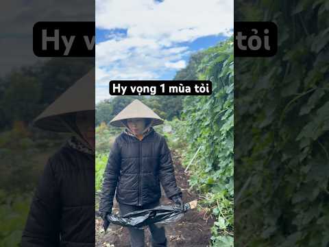 Tháng 6 năm sau sẽ có tỏi