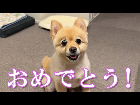 家族と幸せな日を迎えることができました!