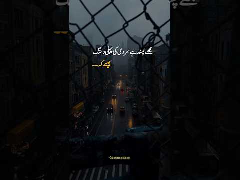 sardy ke pahle dastak ❄️ Winter Quotes in Urdu 🥶 #shortsfeed #shorts #sardi