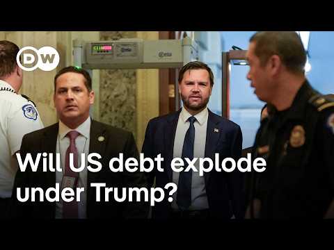Why did most Senate Republicans approve Trump's spending bill? | DW News