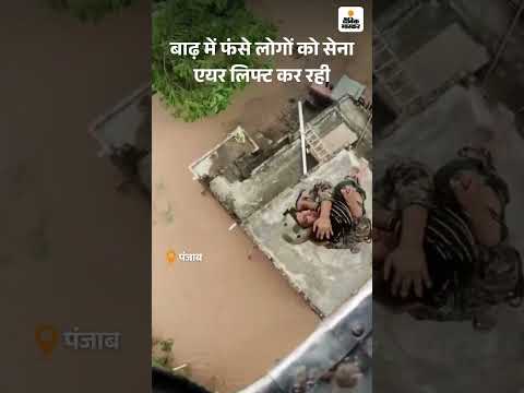 Punjab Flood Fury: Many Villages Submerged, Crops, Livestock Destroyed, Army Leads Rescue Ops
