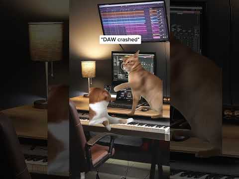 A typical day in the life of a music producer