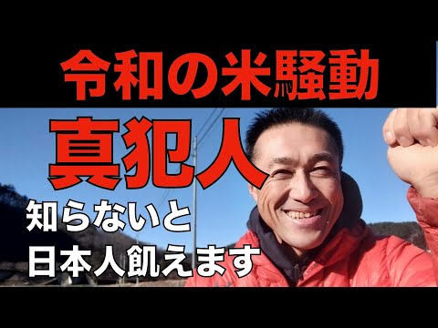 知らないとヤバイ！【米不足の本当の原因】減反政策ではありません