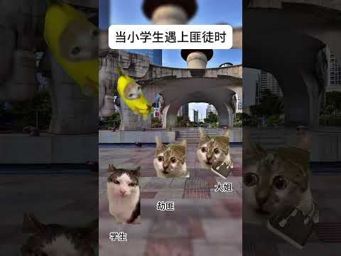 猫の動画サムネイル - 当小学生遇到劫徒#有趣 #猫meme #猫meme剧场 #内容过于真实  #故事 #貓 #猫猫meme小剧场 #喵不可言