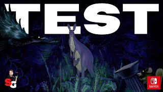Vido-Test Animal Well  par Suliven GAMING