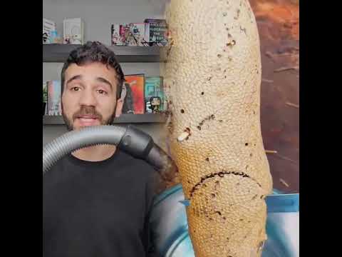 #reddit #redditstories #redditreadings #askreddit #fouryou