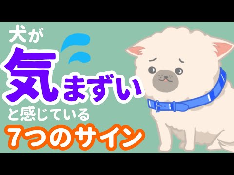 ちょっと気まずいかも‥犬が気まずいと感じている7つ仕草