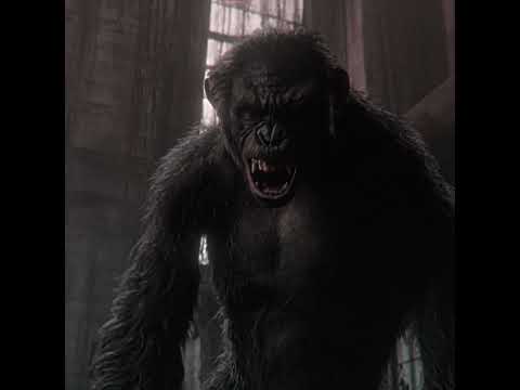 Koba Edit | ICHIRO - INSIDE ME