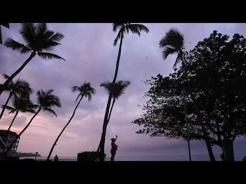 Live: View of Hilo, Hawaii, as Hurricane Nolo threatens the Big Island