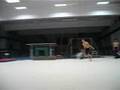 gringowushu