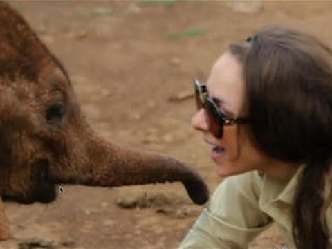 The 404 - Ep. 1488: Where we unlock our spirit animal - UCOmcA3f_RrH6b9NmcNa4tdg