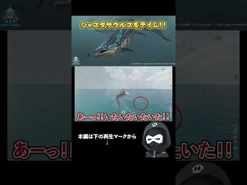 【悲報】ASAのシャスタサウルステイムが大変過ぎる件【ASA】#shorts