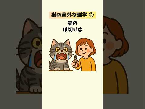 猫の動画サムネイル - 【厳選】猫の意外な雑学15選② #猫の雑学 #おもしろ雑学 #豆知識