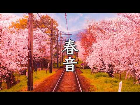 春曲メドレー【Relax Piano BGM】静かな午後の癒し時間（作業用・睡眠用・リラックス音楽）