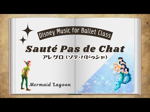 マーメイドラグーン バレエ ソテ パドシャ ~ Mermaid Lagoon Peter Pan Ballet Allegro