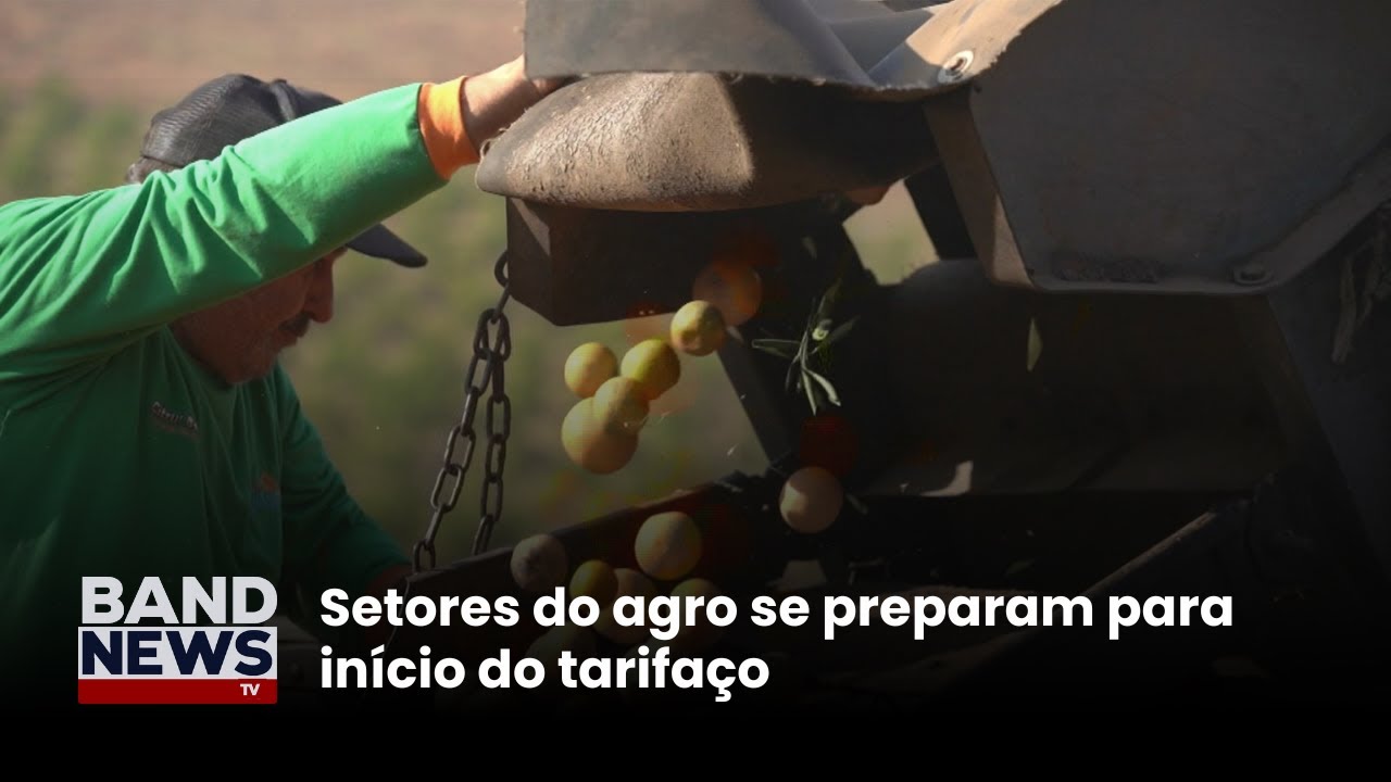 Setores do agro se preparam para início do tarifaço | BandNews TV