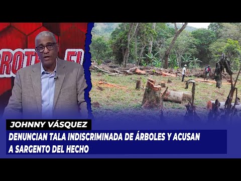 Denuncian tala indiscriminada de árboles y acusan a Sargento del hecho | Extremo a Extremo