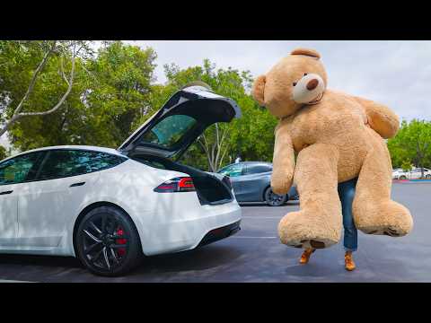 Hands-Free Trunk vs Teddy Bear