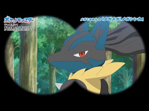 【公式】メガぐるみんの「メガメガ！メガシンカ」（メガルカリオ編）｜アニメ「ポケットモンスター」