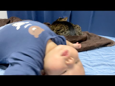 てんちゃんの後ろで背泳ぎをするベビ...