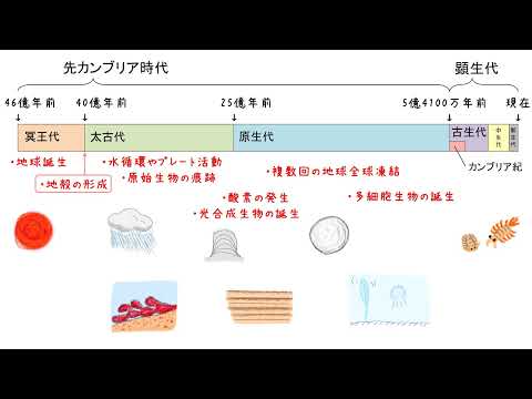 9-1先カンブリア時代