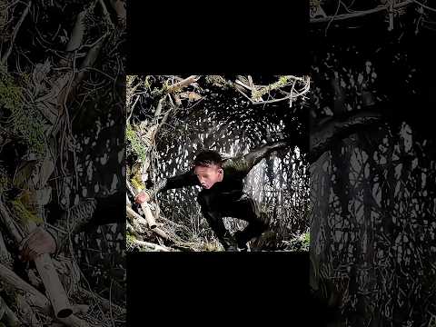 Tiger Fighit Movie Scene #shorts #movie