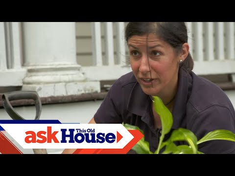 How to Transform Your Landscape Using Existing Plants | Ask This Old House - UCUtWNBWbFL9We-cdXkiAuJA
