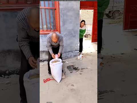 Clever Grandfather taught Daughter-in-law a lesson #shorts #short #trending #viralshorts #facts