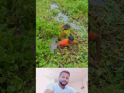 Bhai log ka kya hal Ho Gaya 😂🤣👍#shorts