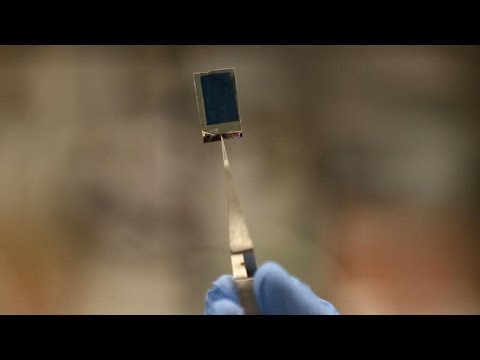 Harvard's 'bionic leaf' produces fuel using sunlight and water (Crave Extra) - UCOmcA3f_RrH6b9NmcNa4tdg