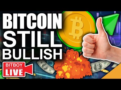 Bitcoin Is Looking EXTREMELY Healthy (2021 Bull Run Continues)