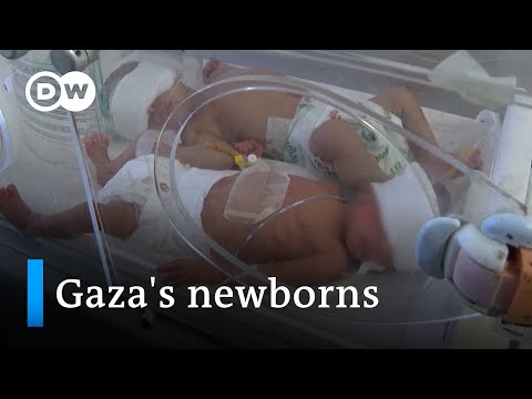 Doctor at maternity hospital in Rafah: "In one shift, two or three children die" | DW News