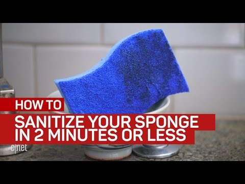 Sanitize your sponge -- in 2 minutes or less - UCOmcA3f_RrH6b9NmcNa4tdg