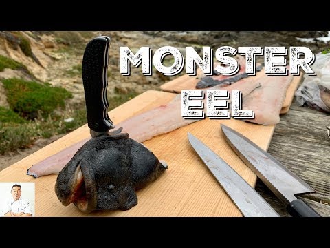 MONSTER EEL | Catch and Cook | Was It Still Alive During Filleting? - UCbULqc7U1mCHiVSCIkwEpxw