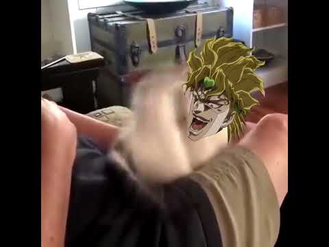 Kono Dio Cat