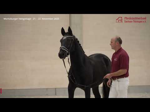 KN 20 v. Veritas - Elbling