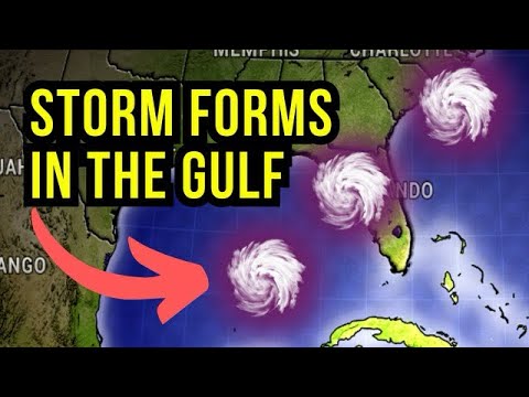 Storm System Forms in the Gulf...