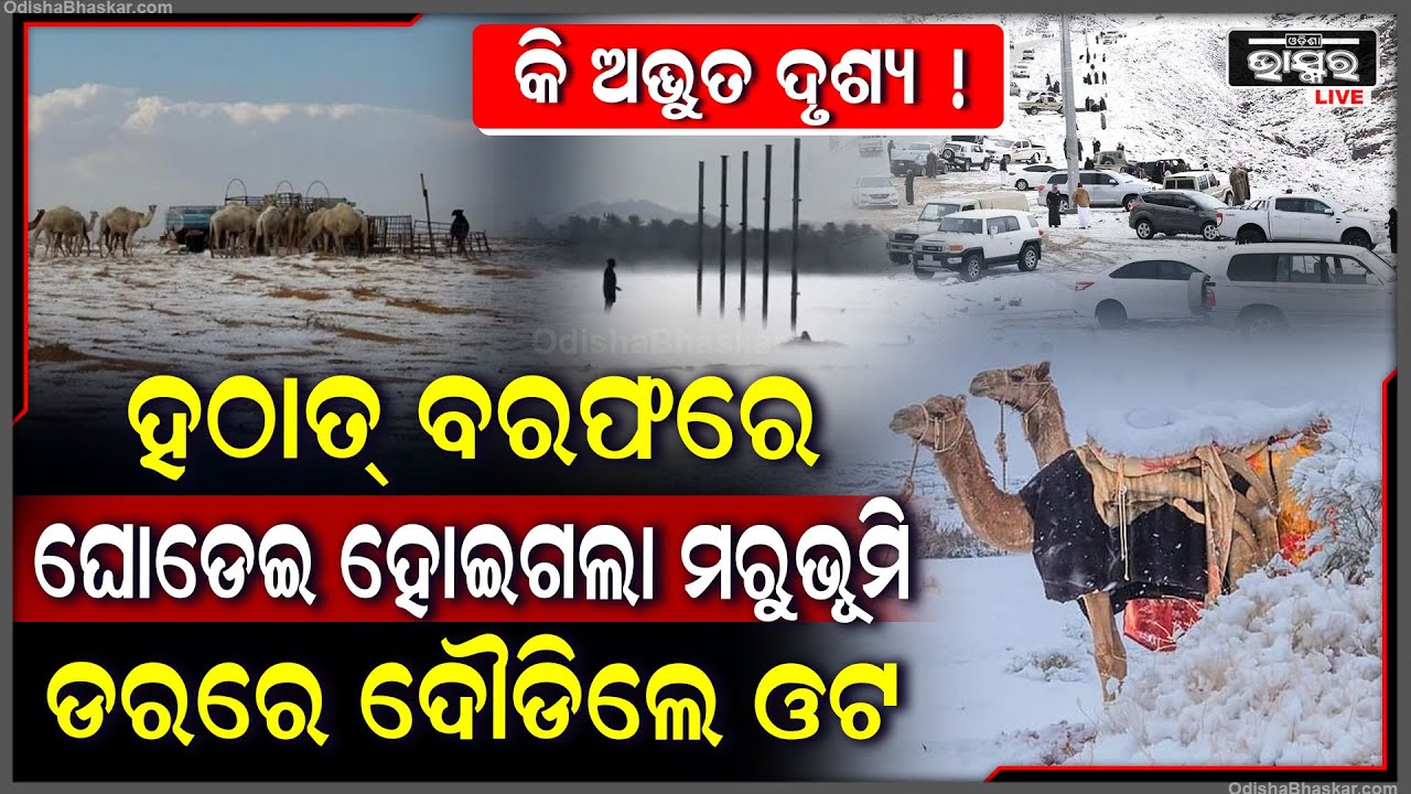 ରାତି ପାହିଲା ବେଳକୁ ବରଫରେ ଘୋଡେଇ ହୋଇଗଲା ପୁରା ମରୁଭୂିମ, ଭୟରେ ଦୌଡିଲେ ଓଟ...