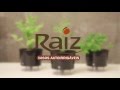 Vaso Autoirrigável para Plantas Gourmet N3 Raíz