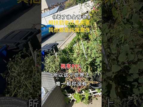 人生一辈子到老的还是夫妻,其他都是意外! #心灵感悟 #人生感悟 #情感 #珍惜眼前人 #关注我持续更新