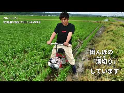 田んぼの「溝切り」しています　北海道今金町　#shorts