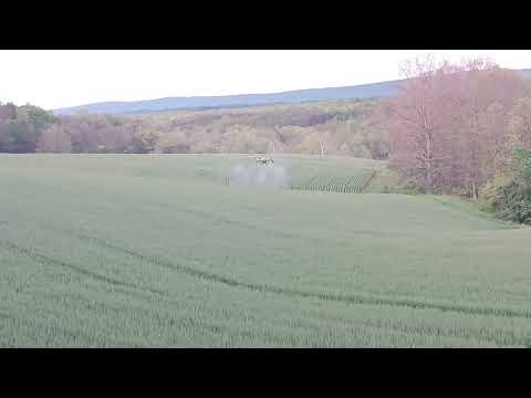 A view from my office... Drone Spraying Wheat